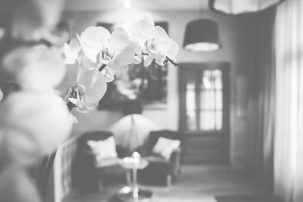 Hotel Bellini Guxhagen Esterno foto